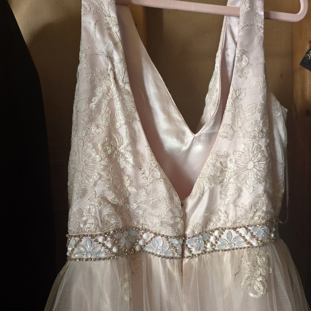 Pink Prom Dress - Picture 9 of 9